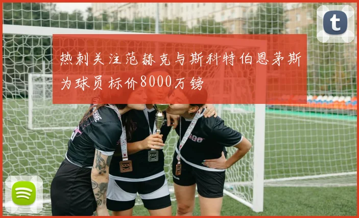 热刺关注范赫克与斯科特伯恩茅斯为球员标价8000万镑